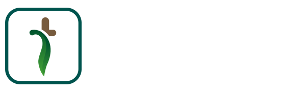 藤椒手游
